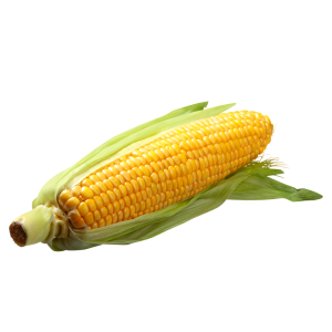 Corn