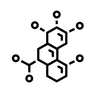 Enzyme Complex