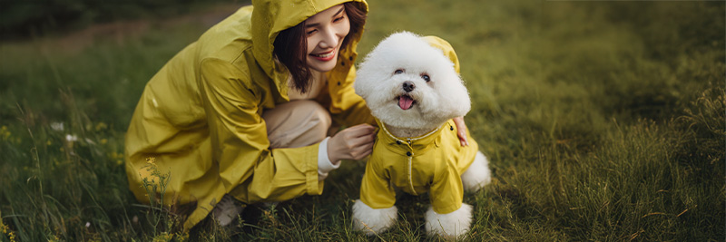 Pet in a raincoat looking out during monsoon season