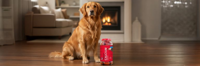 How Many Treats to Feed a Dog | Healthy Dog Treats & Training Tips