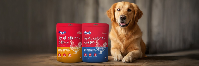 Dog enjoying dried feet, necks, and wings as healthy treats