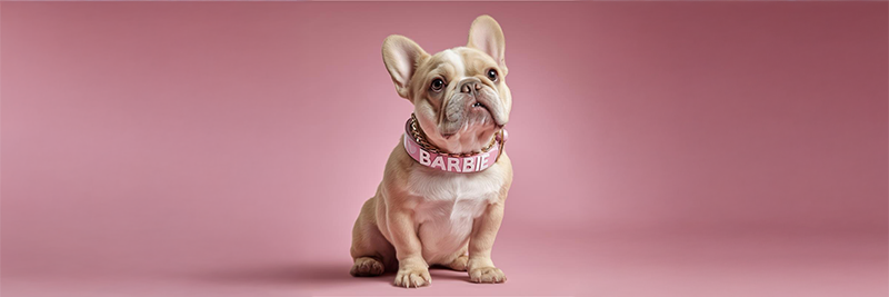 Cute puppy wearing a name tag that says Max, representing trending dog names for 2025