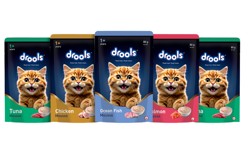 cat mousse-Photoroom
